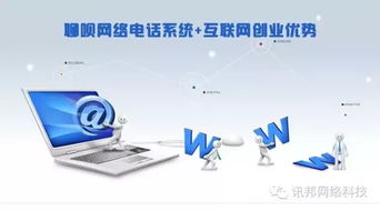 國內網絡電話與國外對比分析