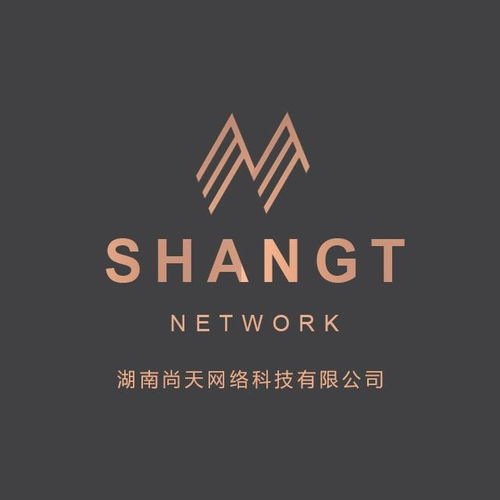 湖南尚天網(wǎng)絡(luò)科技 創(chuàng)新驅(qū)動(dòng)，賦能數(shù)字未來
